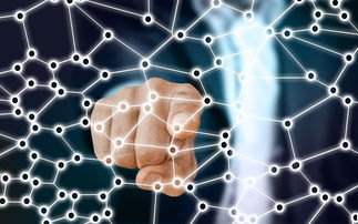 爱游戏在线-中国足球青训梯队人员年龄层结构，足球青训年龄段